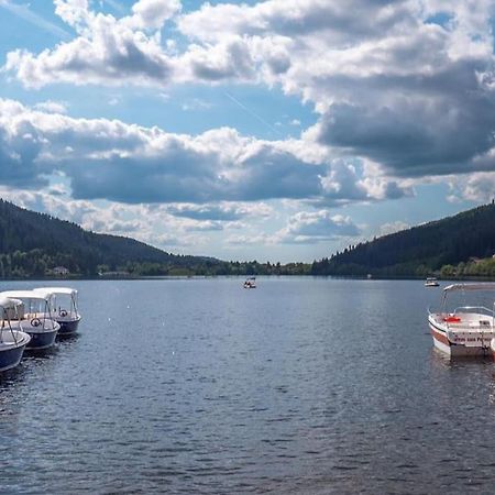 Studio Cosy Ambiance Vosgienne A 20 Mn De Gerardmer Lepanges-sur-Vologne Eksteriør billede