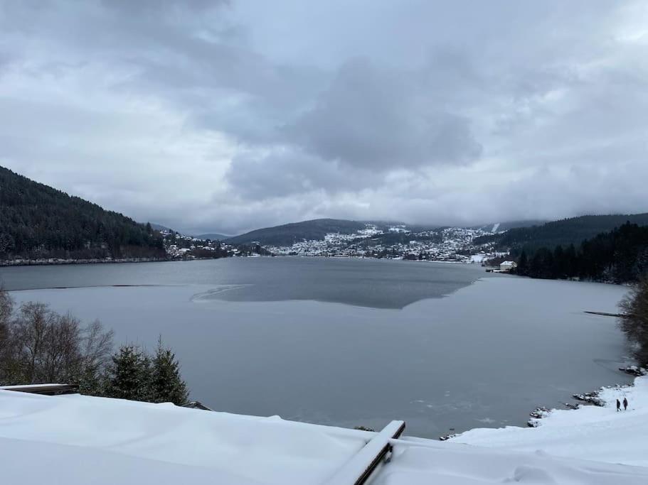 Studio Cosy Ambiance Vosgienne A 20 Mn De Gerardmer Lepanges-sur-Vologne Eksteriør billede
