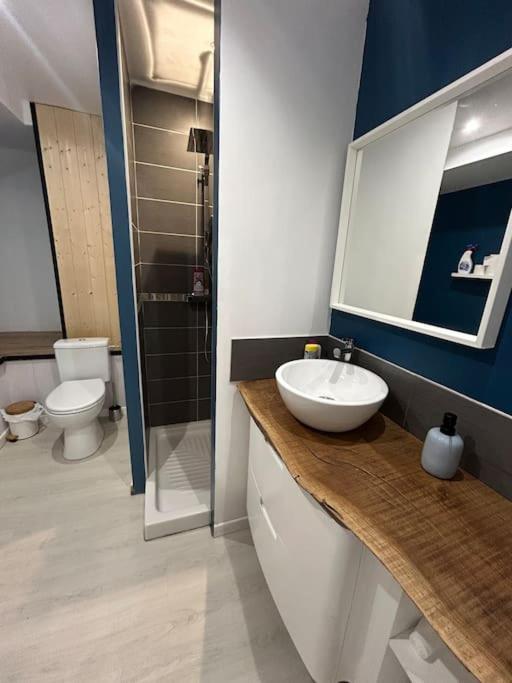 Studio Cosy Ambiance Vosgienne A 20 Mn De Gerardmer Lepanges-sur-Vologne Eksteriør billede