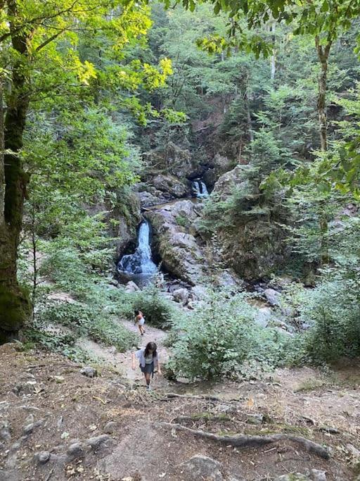 Studio Cosy Ambiance Vosgienne A 20 Mn De Gerardmer Lepanges-sur-Vologne Eksteriør billede
