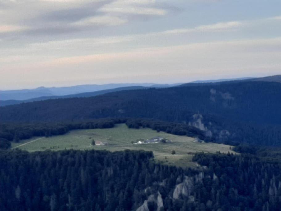 Studio Cosy Ambiance Vosgienne A 20 Mn De Gerardmer Lepanges-sur-Vologne Eksteriør billede