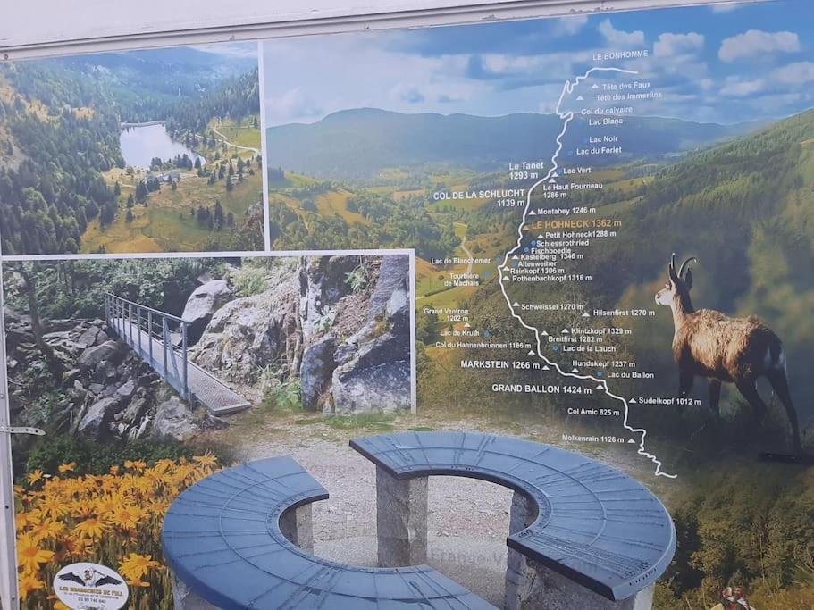 Studio Cosy Ambiance Vosgienne A 20 Mn De Gerardmer Lepanges-sur-Vologne Eksteriør billede
